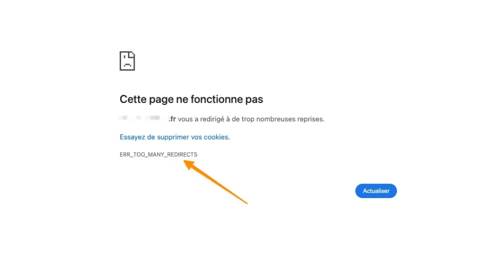 erreur liée a une boucle de redirection err too many redirects