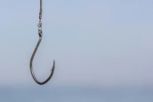 Comment reconnaître un email de phishing ? Le guide pour ne plus vous faire piéger Un hameçon