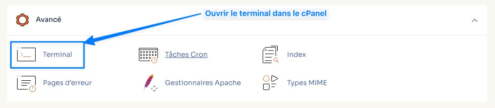 La section « Avancé » du cPanel o2switch, où se trouve l'outil Terminal